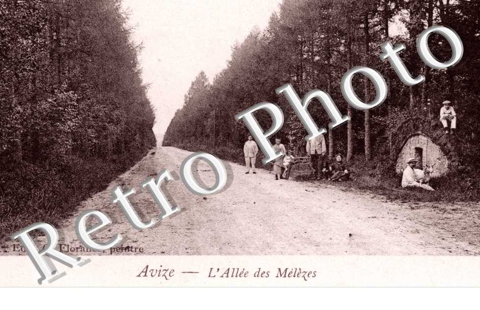 Allee des Melezes