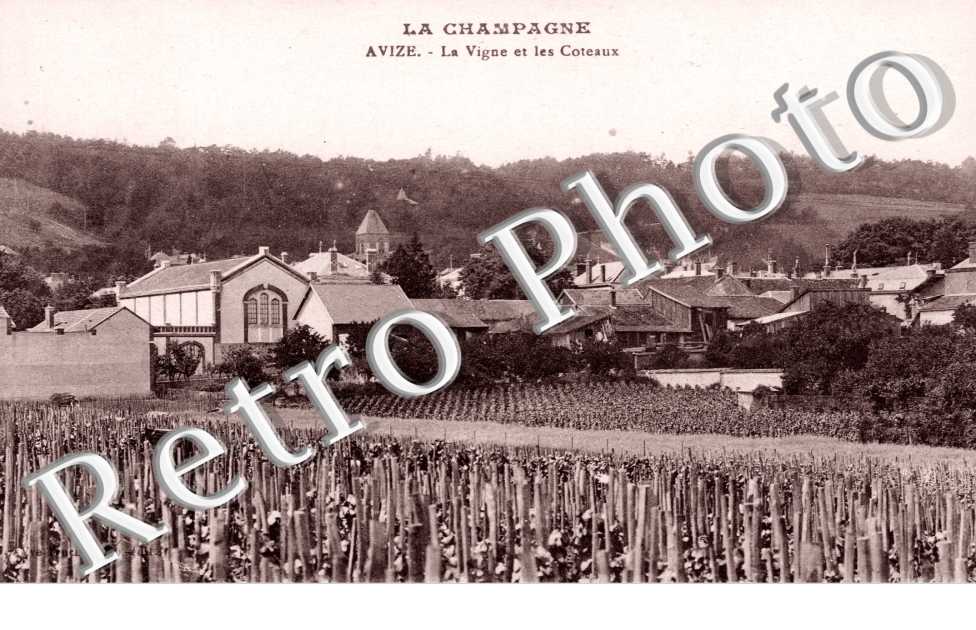 La Vigne et les Coteaux