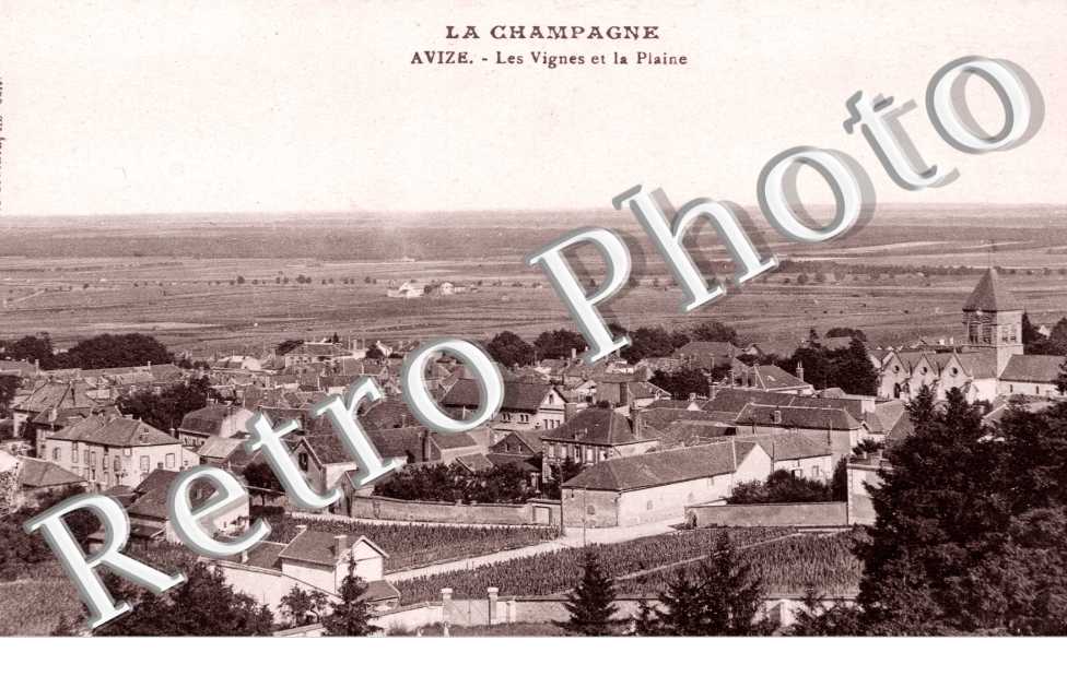 Les Vignes et la Plaine