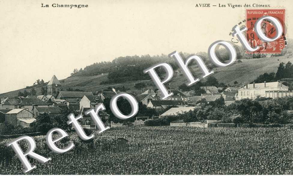 Les Vignes des Coteaux