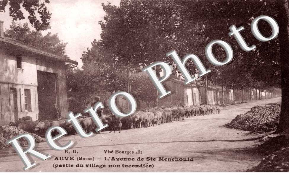L'Avenue de Ste Menehould