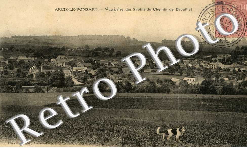 Vue prise des sapins du chemin de Brouillet