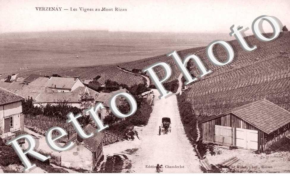 Les Vignes au Mont Rizan