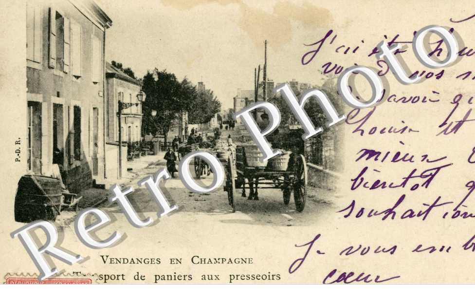 Transport de Paniers au Pressoir