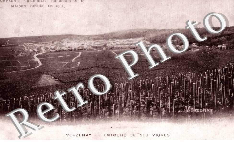 Entourde ses vignes