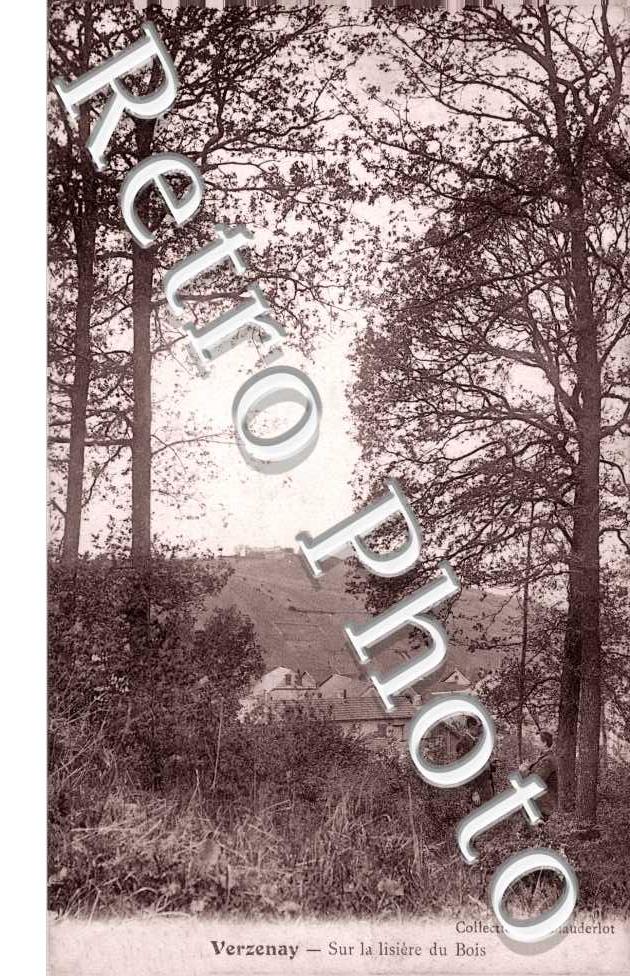 Sur la Lisiere du Bois