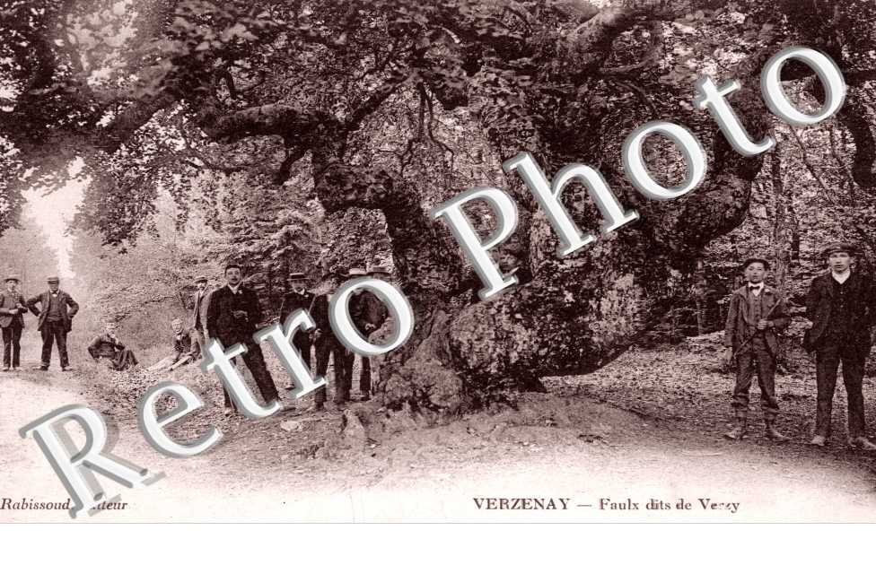 Faulx dits de Verzy