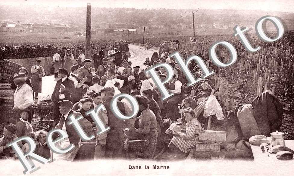 Les Vendanges
