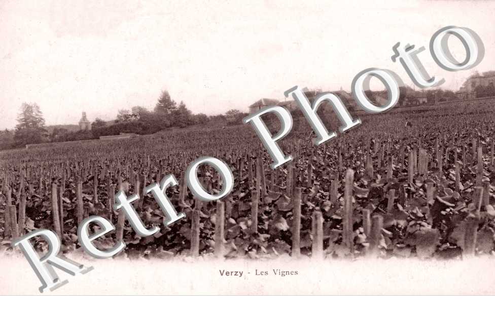 les Vignes 
