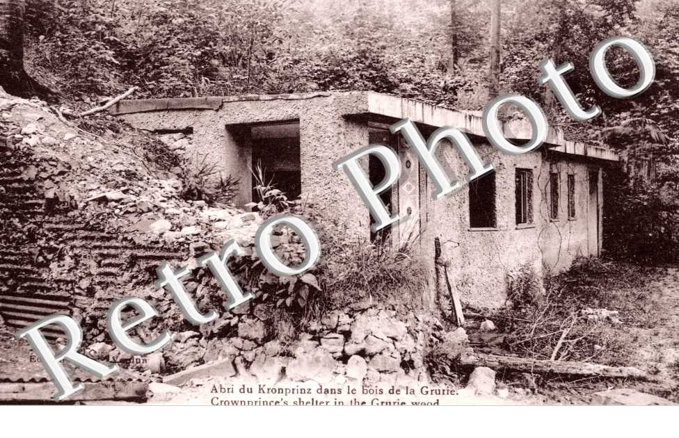 Abri du Kronprinz dans le bois de la Grurie