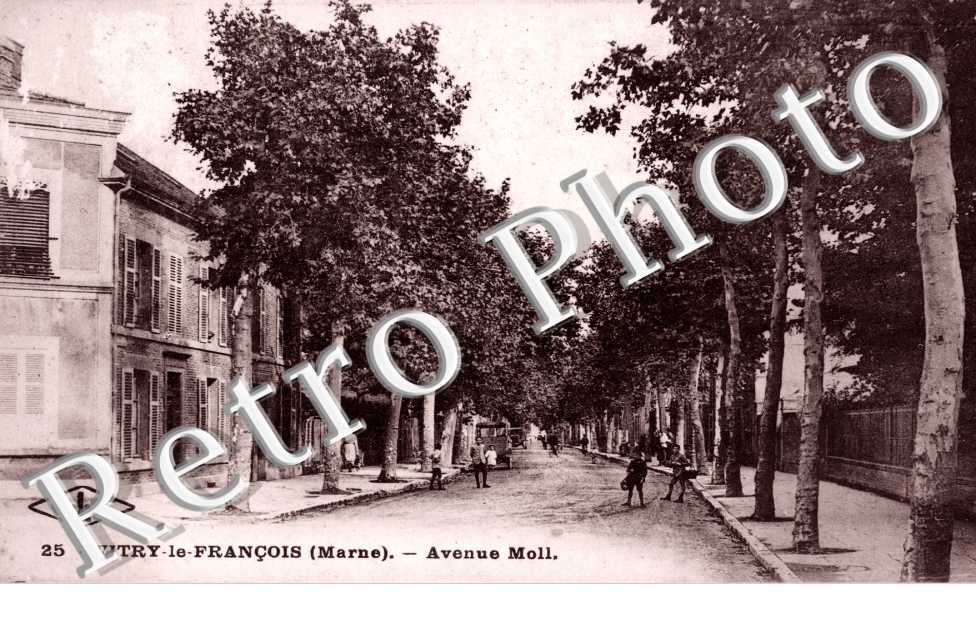 Avenue Moll