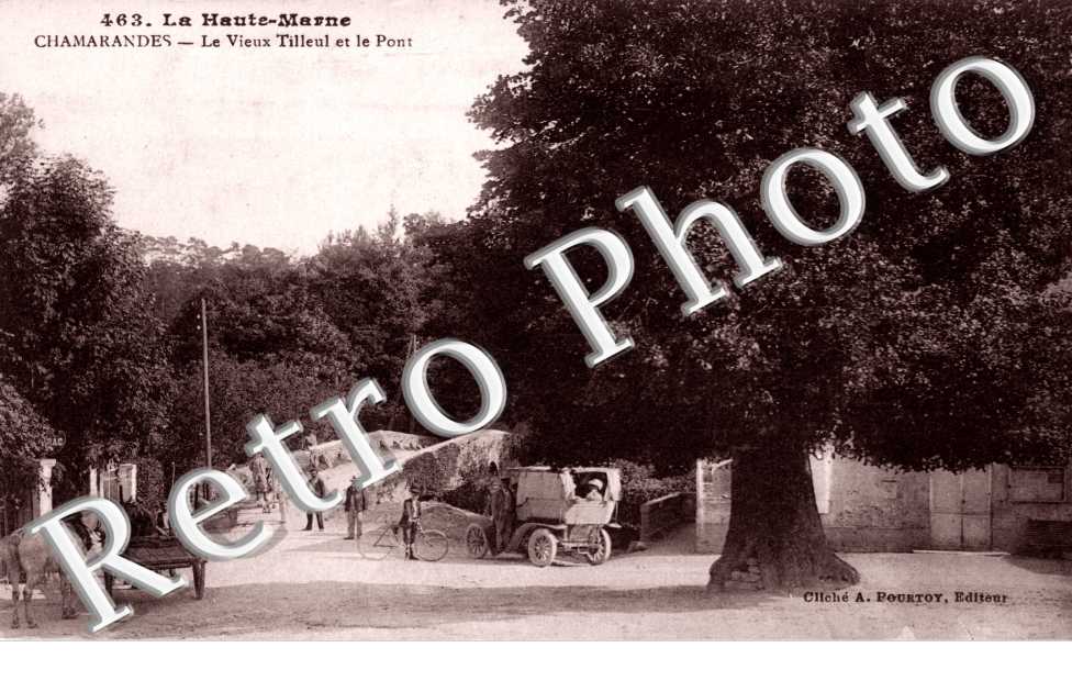 le vieux tilleul et le pont