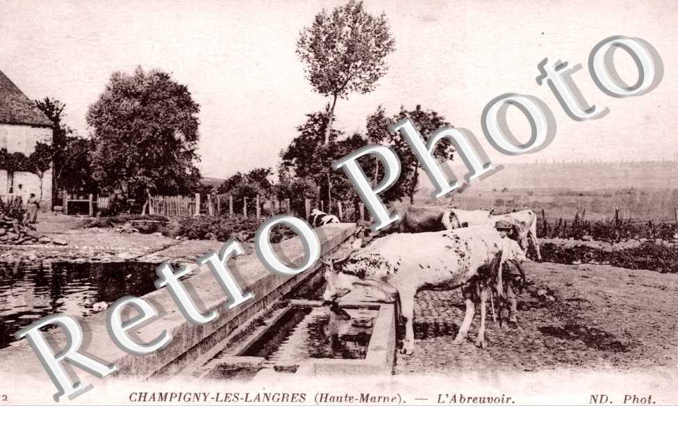 L'abreuvoir