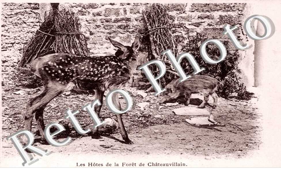 Les Hotes de la Foret