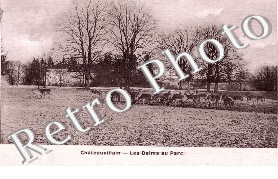 Les Daims