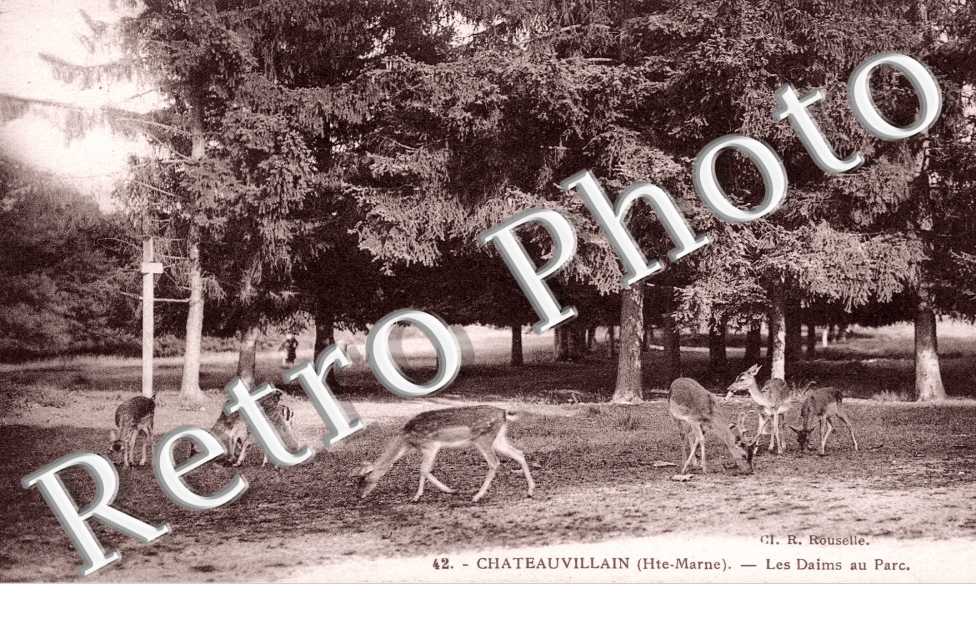 les daims au parc