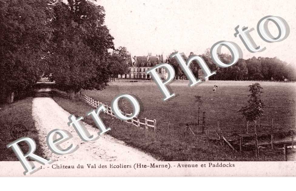 Chateau du Val des Ecoliers - avenue et Paddocks