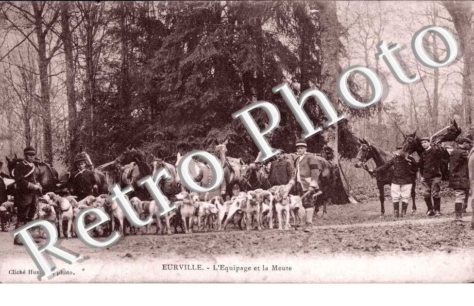 l'equipage et la meute (CHASSE A COUR)