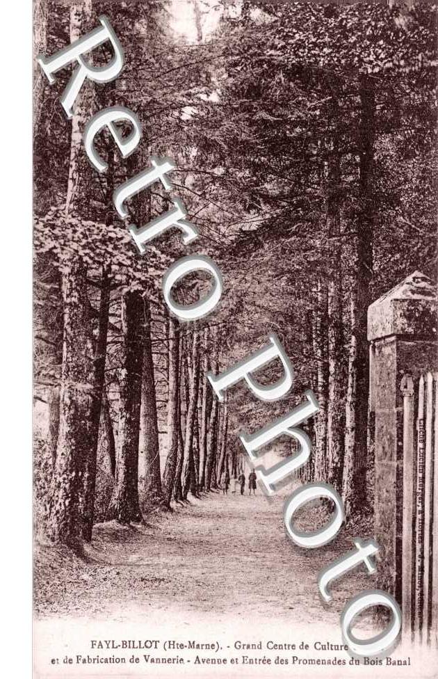 promenade du Bois Banal