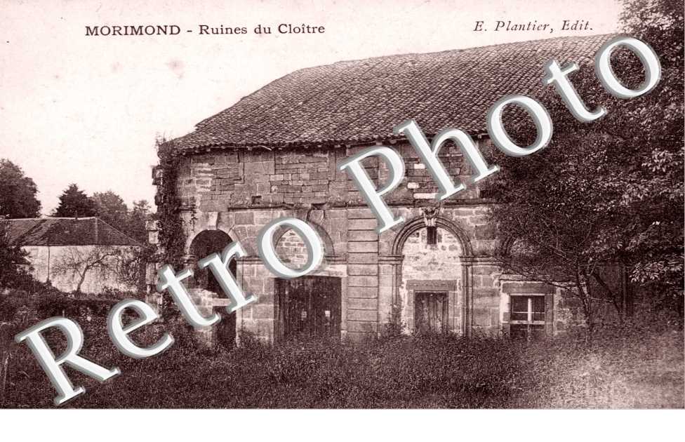 Morimond - Abbaye - ruines du cloitre