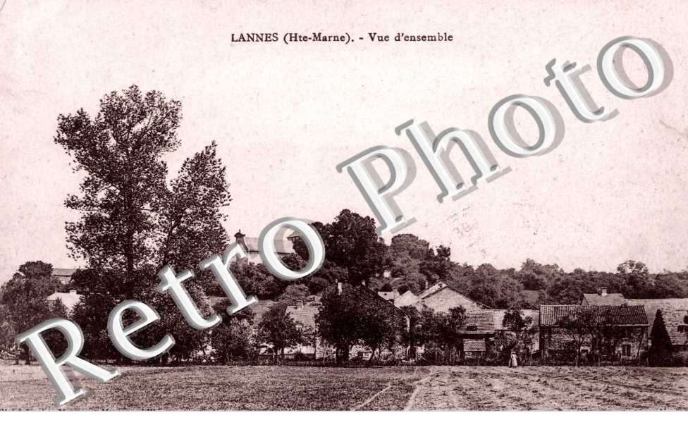Vue d'ensemble