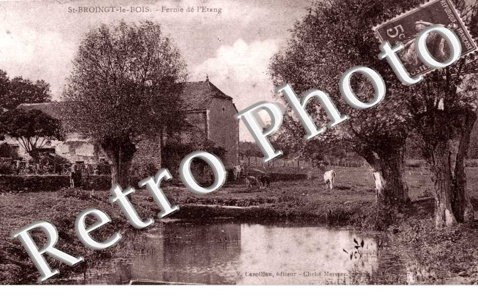Ferme de l'etang