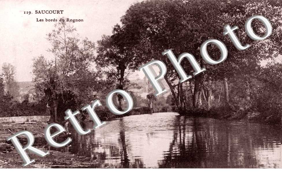 Les bords du rognon