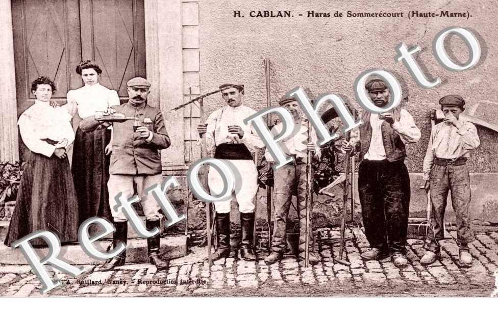 H. Cablan Haras de Sommerecourt