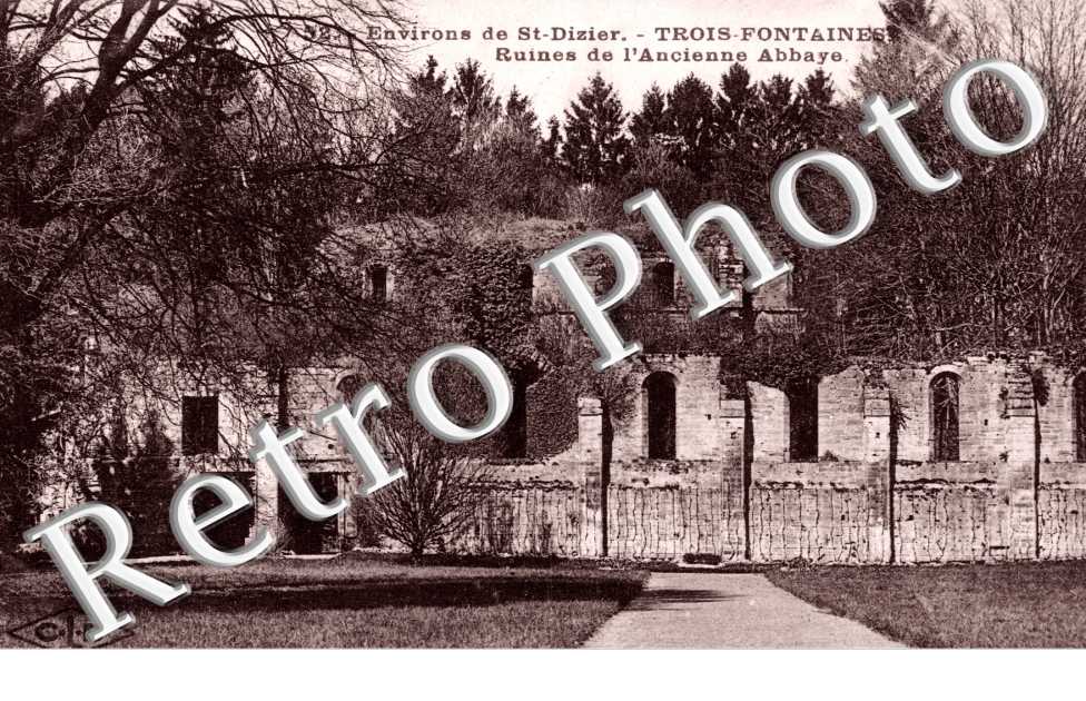 Ruines de l'ancienne abbaye