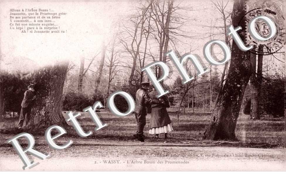 l'arbre Bossu des promenades