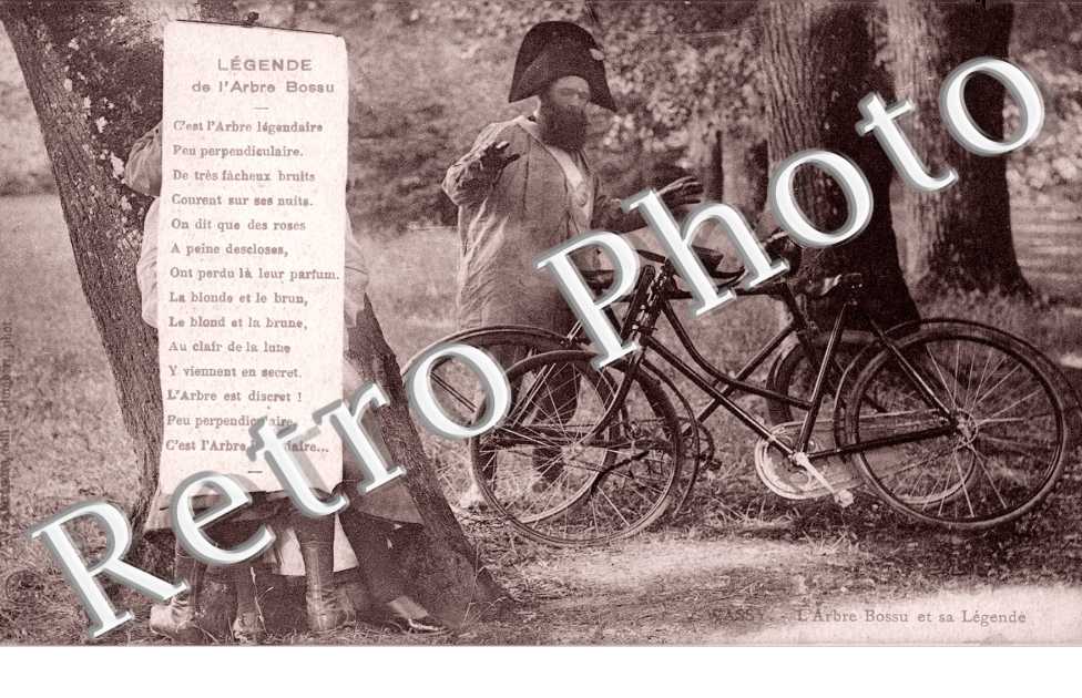 l'arbre Bossu et sa legende