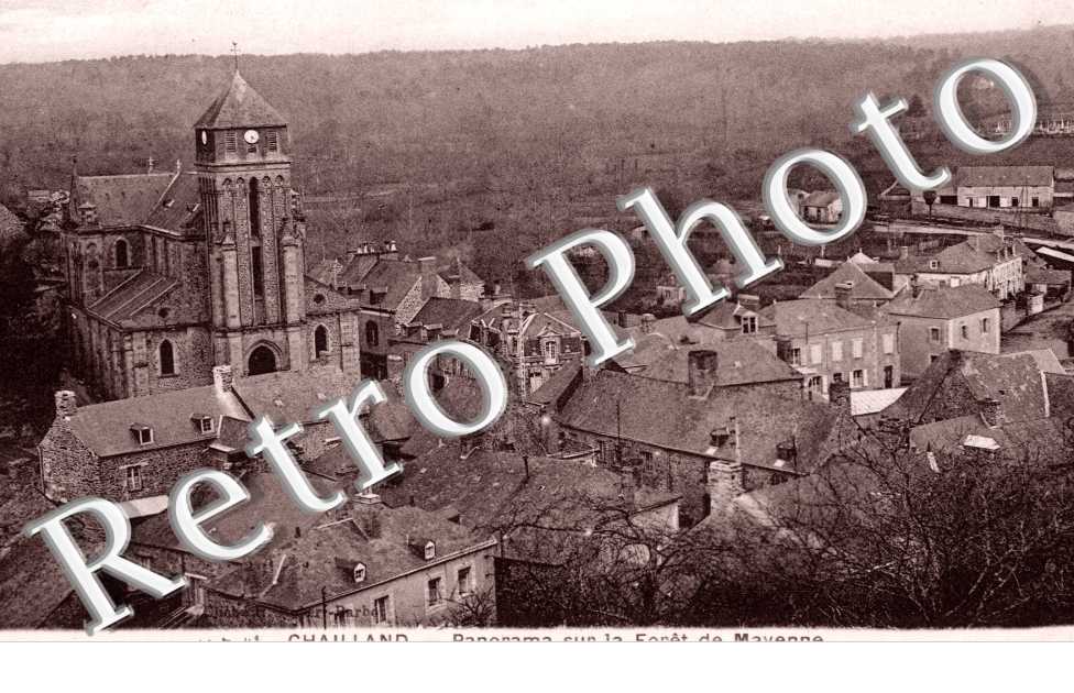 Panorama de la foret de Mayenne
