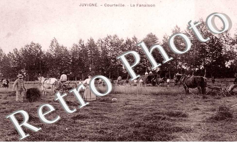 Courteille, la Fanaison