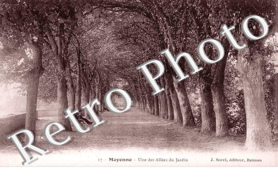 Une des allees du Jardin