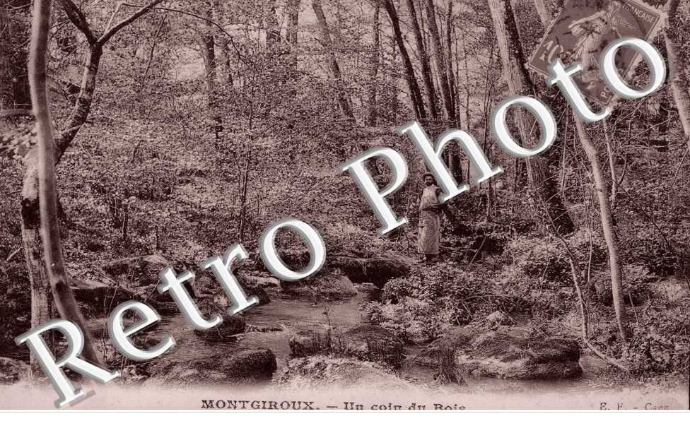 Montgiroux, Un Coin du Bois