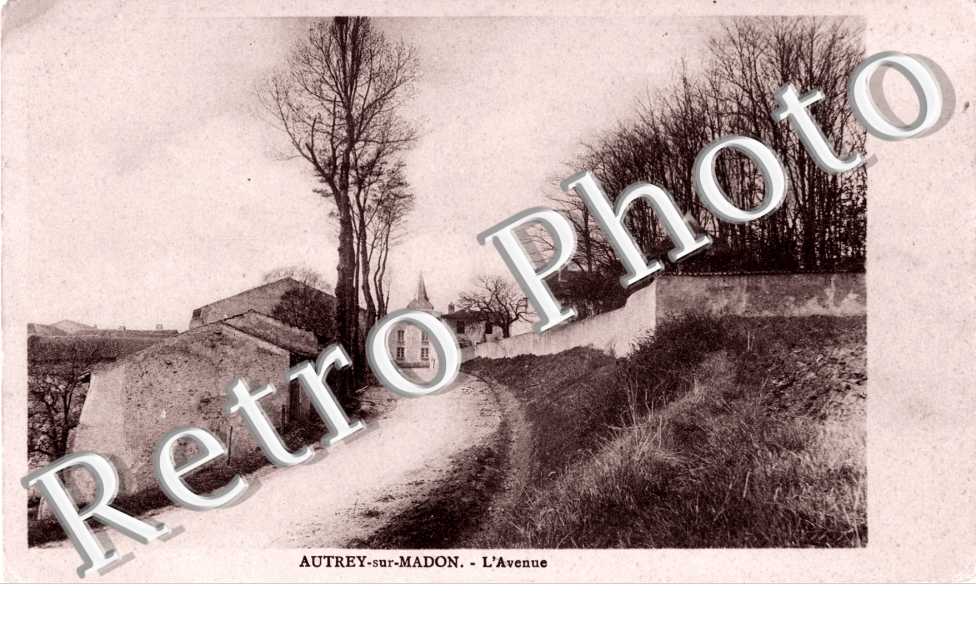 l'avenue