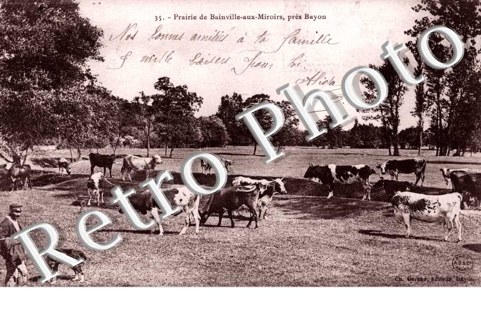 Prairie