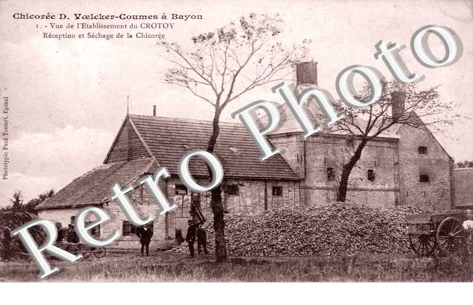 Chicoree D. Voelcker-Coumes - vue de l'Etablissement du Crotoy
