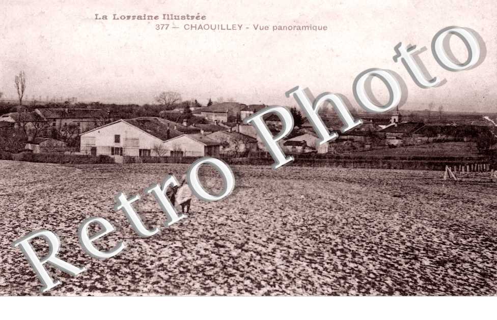 Vue panoramique