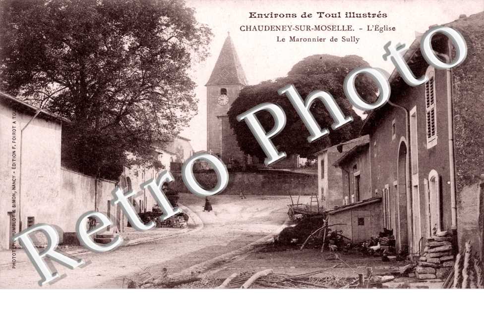 L'eglise et le maronnier de Sully