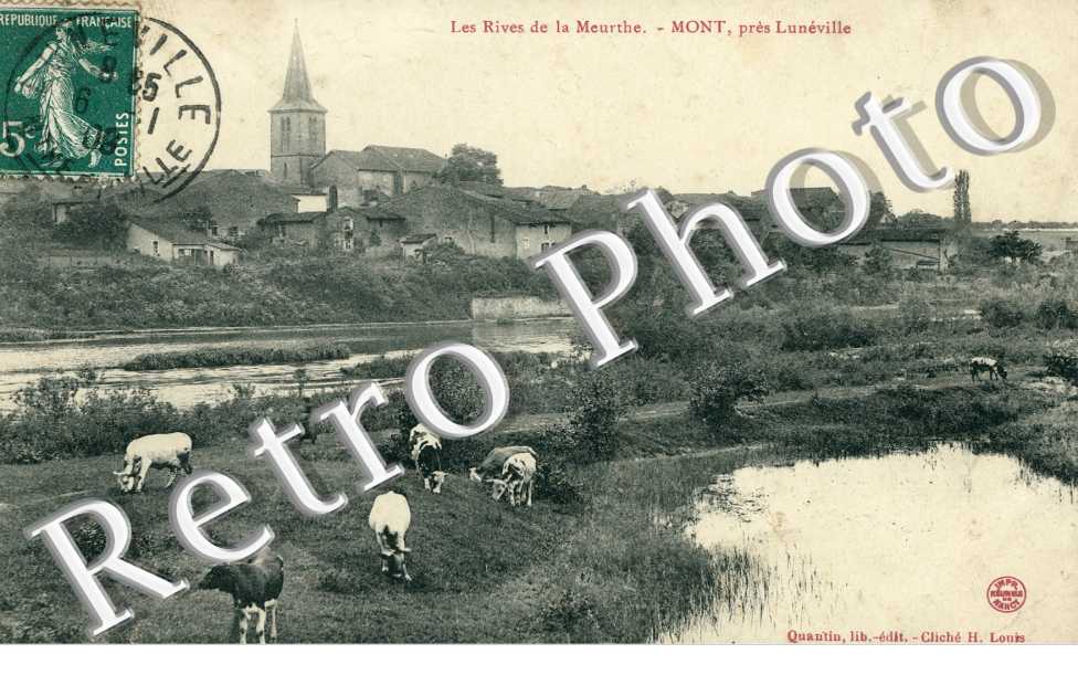 les rives de la meurthe