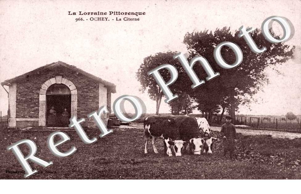 la Citerne (animaux) - 966 ed. Fiacre