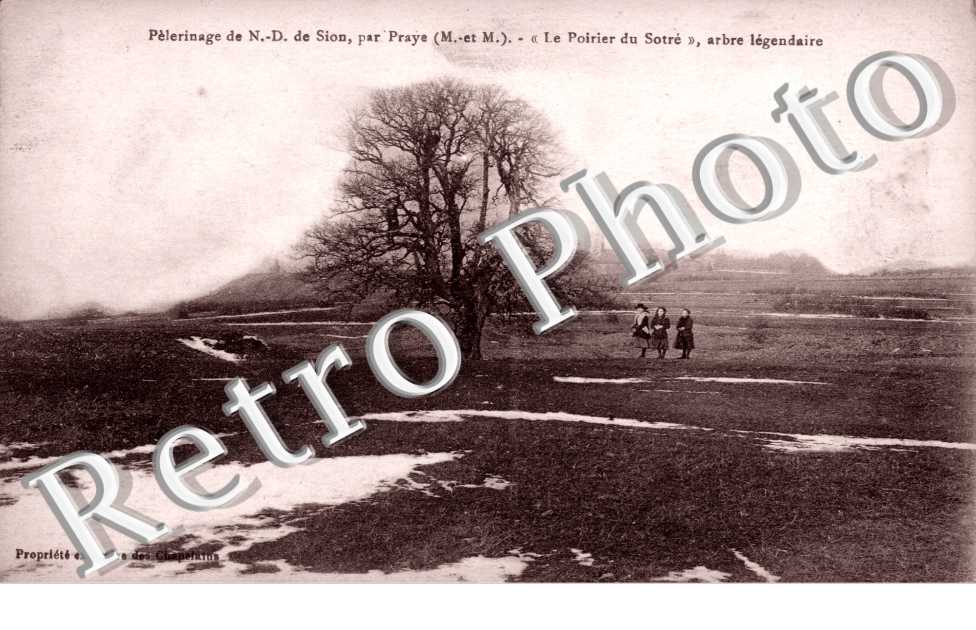 Le Poirier du Sotre