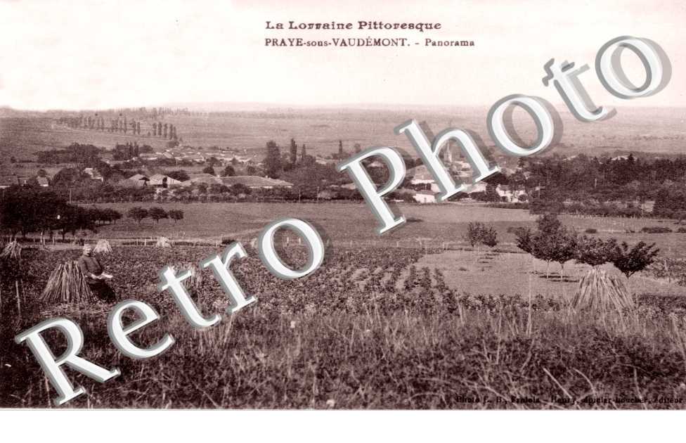 panorama