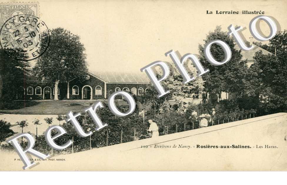 les haras