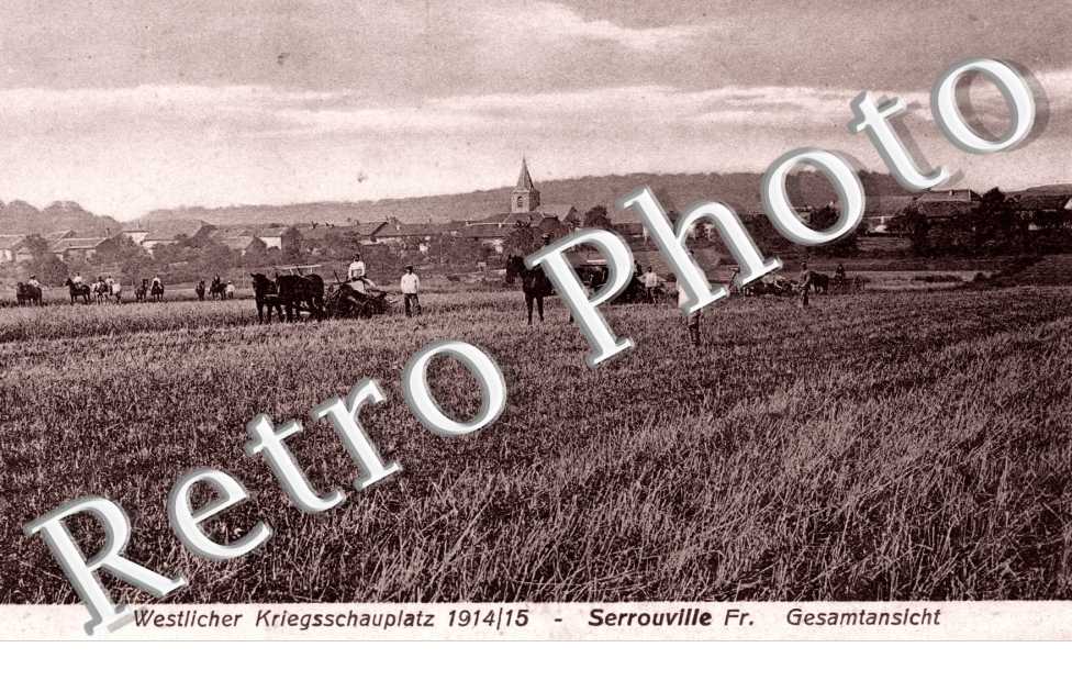 Westlicher Kriegsschauplatz 1914-15 - Gesamtansicht