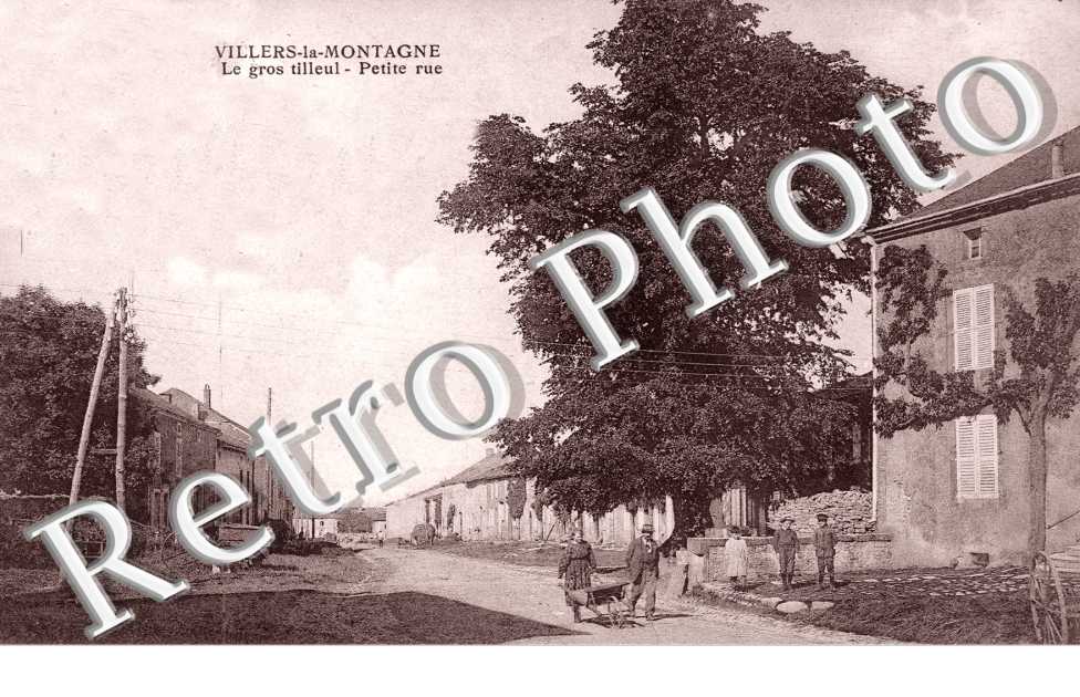 Le gros tilleul - Petite rue