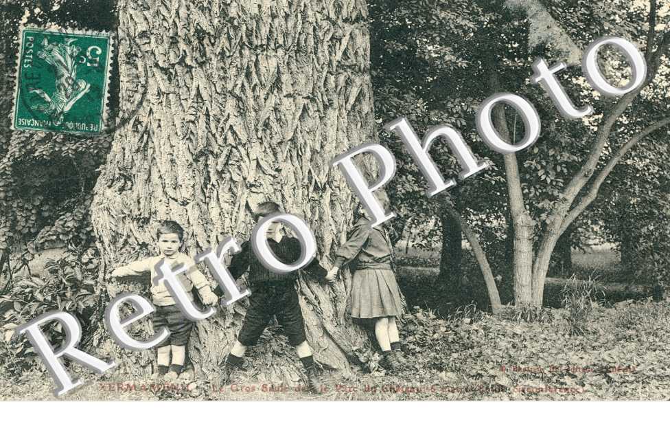 Le gros saule dans le parc du chateau