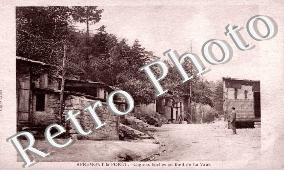 Cagnias boches au fond de la Vaux