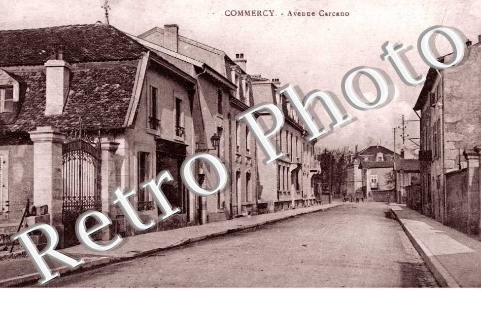Avenue Carcano
